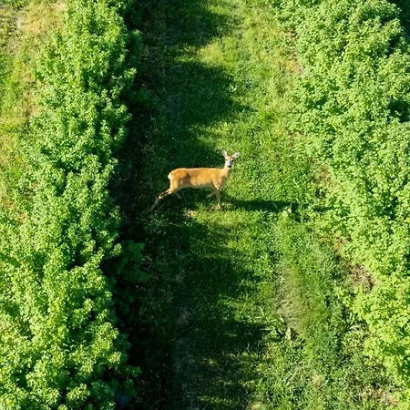 Domek Zyciny Nad Zalewem Chancza Exterior foto